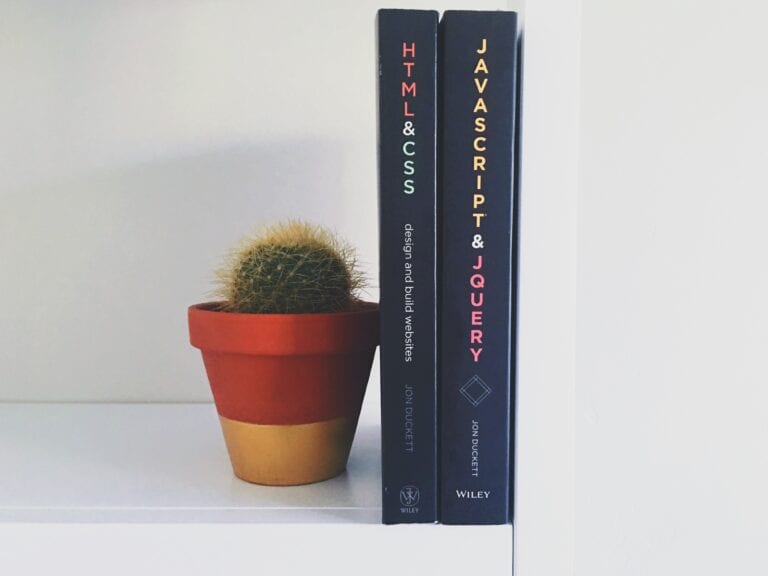 Photograph of a cactus holding up an HTML book and a Javascript book.
